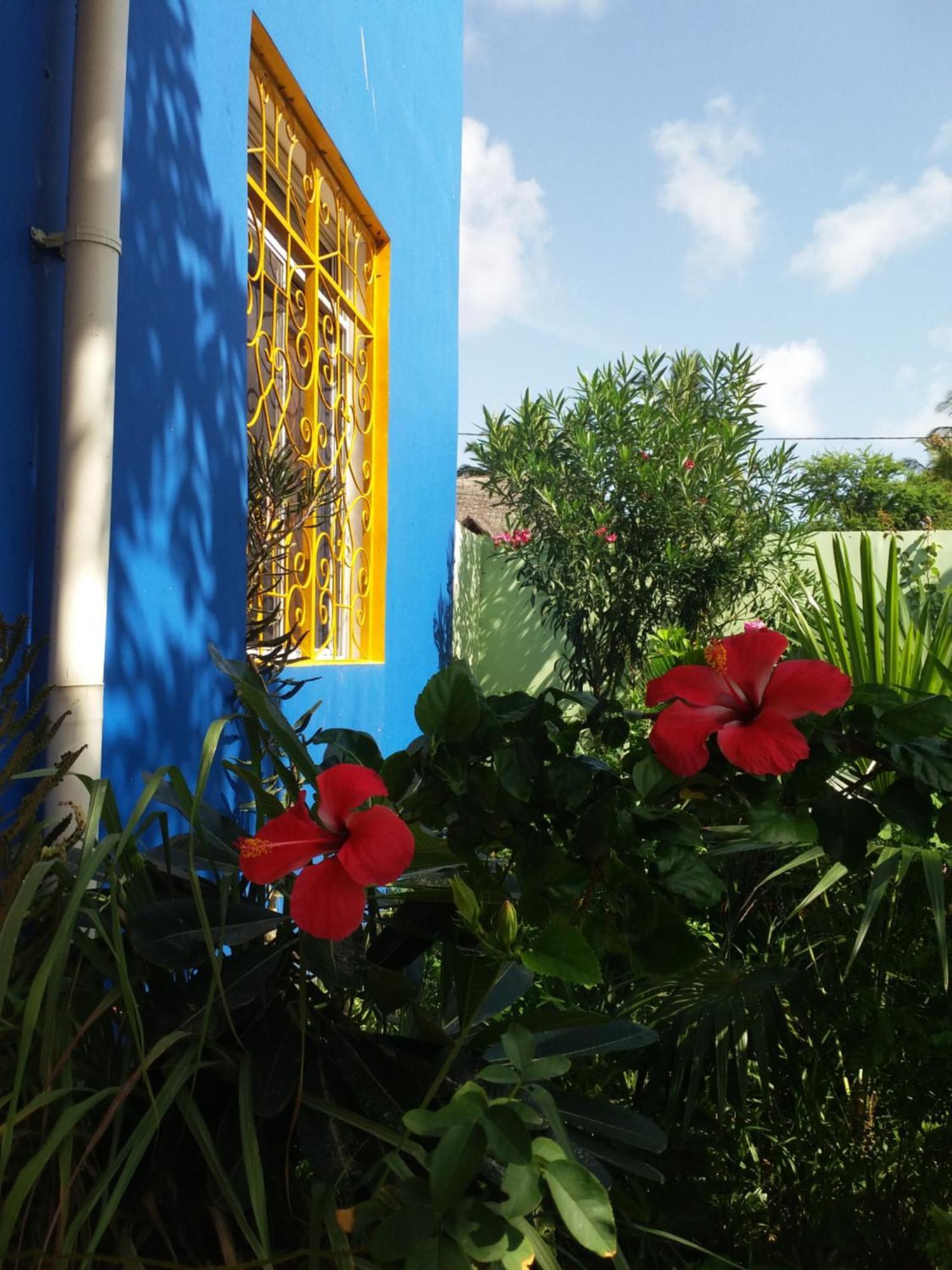 La Locanda Lodge - Apartment, 4 Double Rooms & Kitchen Near The Beach Jambiani  Extérieur photo
